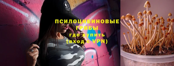 шишки Бронницы
