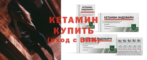 стаф Семилуки
