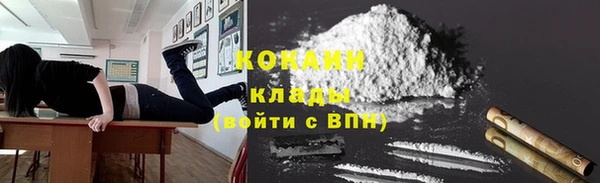 шишки Бронницы