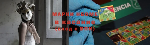 ГАЛЛЮЦИНОГЕННЫЕ ГРИБЫ Бородино