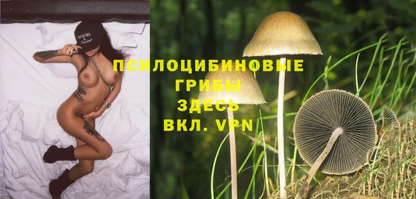 стаф Семилуки